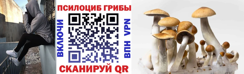 Псилоцибиновые грибы Magic Shrooms  Купить закладки  Троицк 